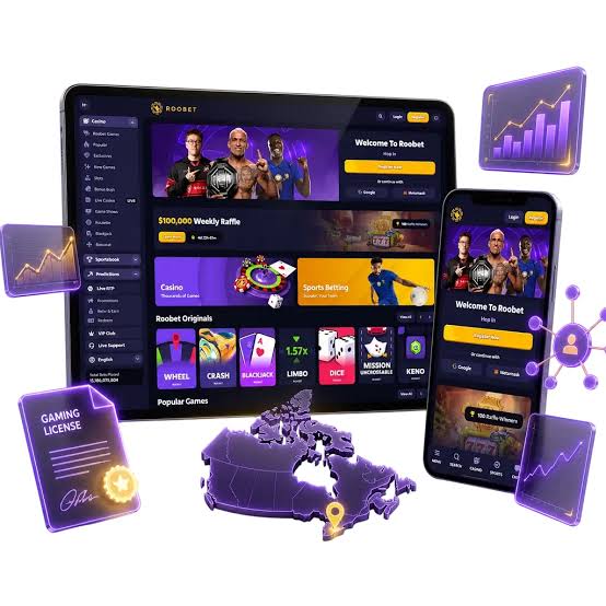 Roobet Evaluation - A Thorough Analysis of the Premier Betting Platform